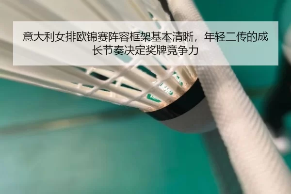 yi-da-li-nv-pai-ou-jin-sai-zhen-rong-kuang-jia-ji-ben-qing-xi-nian-qing-er-chuan-de-cheng-zhang-jie-zou-jue-ding-jiang-3-202.jpg
